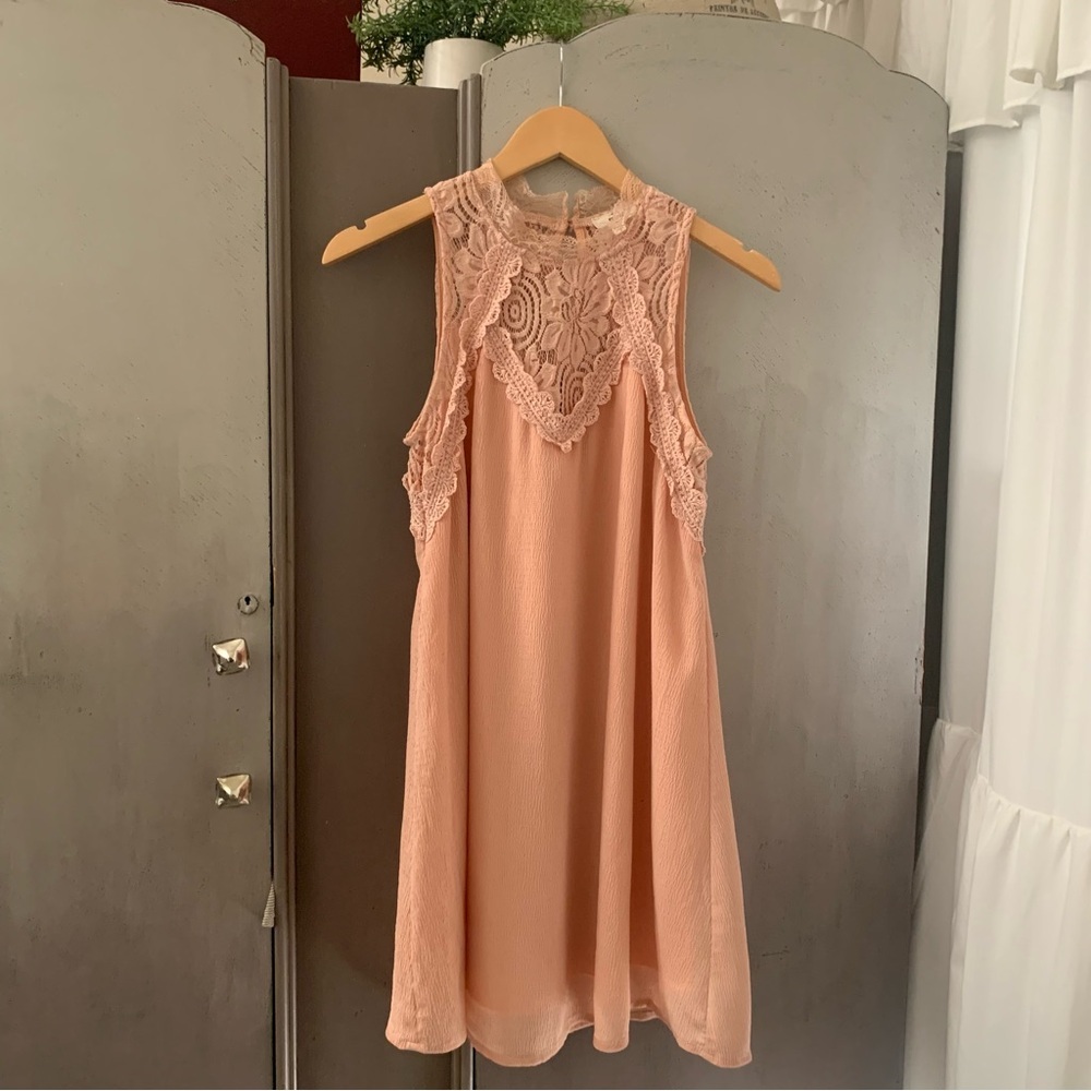 Entro Blush Lace Overlay Dress
